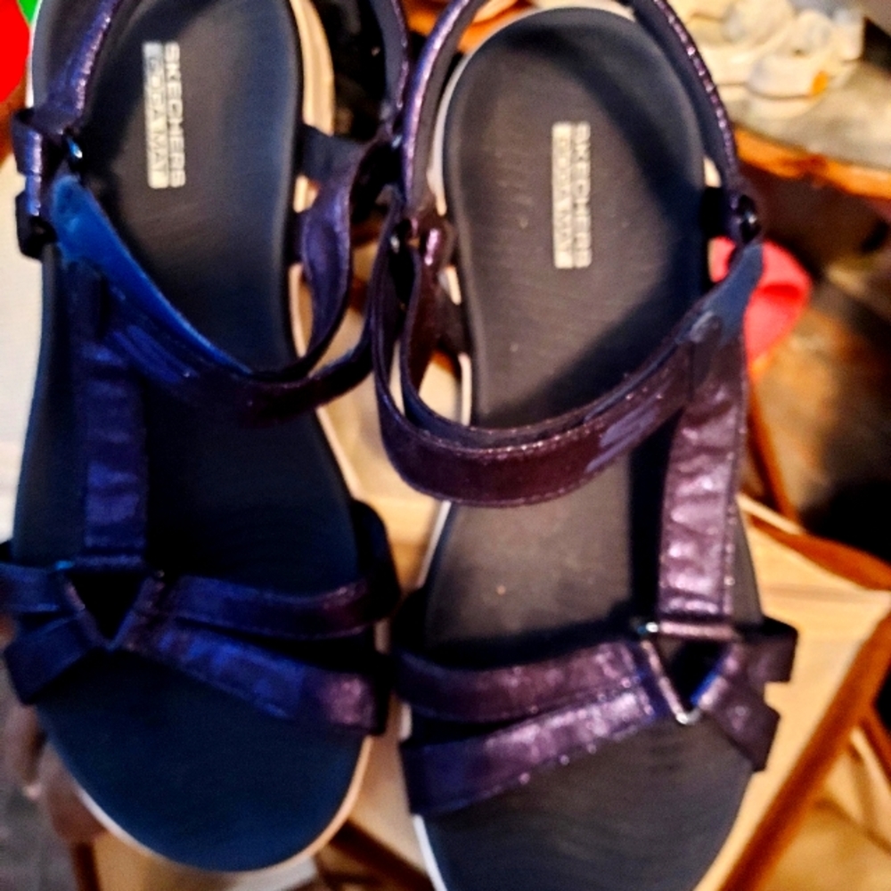 Skeechers